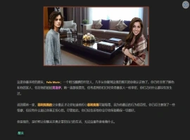 [HTML/浏览器汉化] 我的朋友 Friends of Mine V1.4 浏览器转中文 电脑 [2.5G]-IS充值【58】
